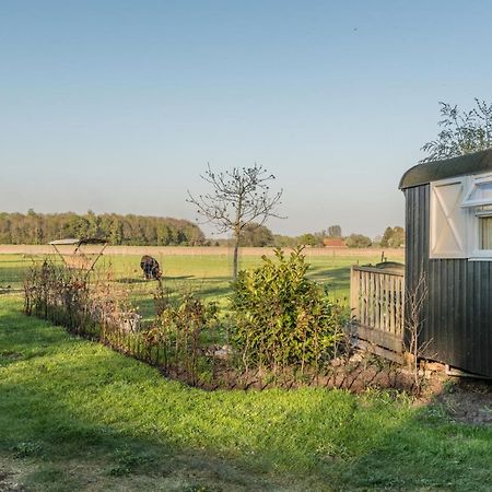 Pipowagen Lidewei Groningen Westerwolde Unieke Ligging Met Eigen Tuin En Vrij Uitzicht Over Veld Naar Natuurgebied Onstwedde Exteriér fotografie