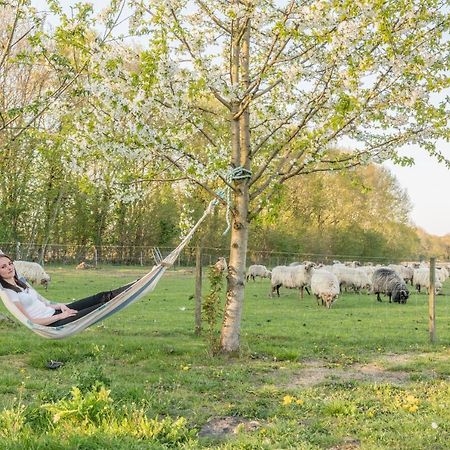 Pipowagen Lidewei Groningen Westerwolde Unieke Ligging Met Eigen Tuin En Vrij Uitzicht Over Veld Naar Natuurgebied Onstwedde Exteriér fotografie