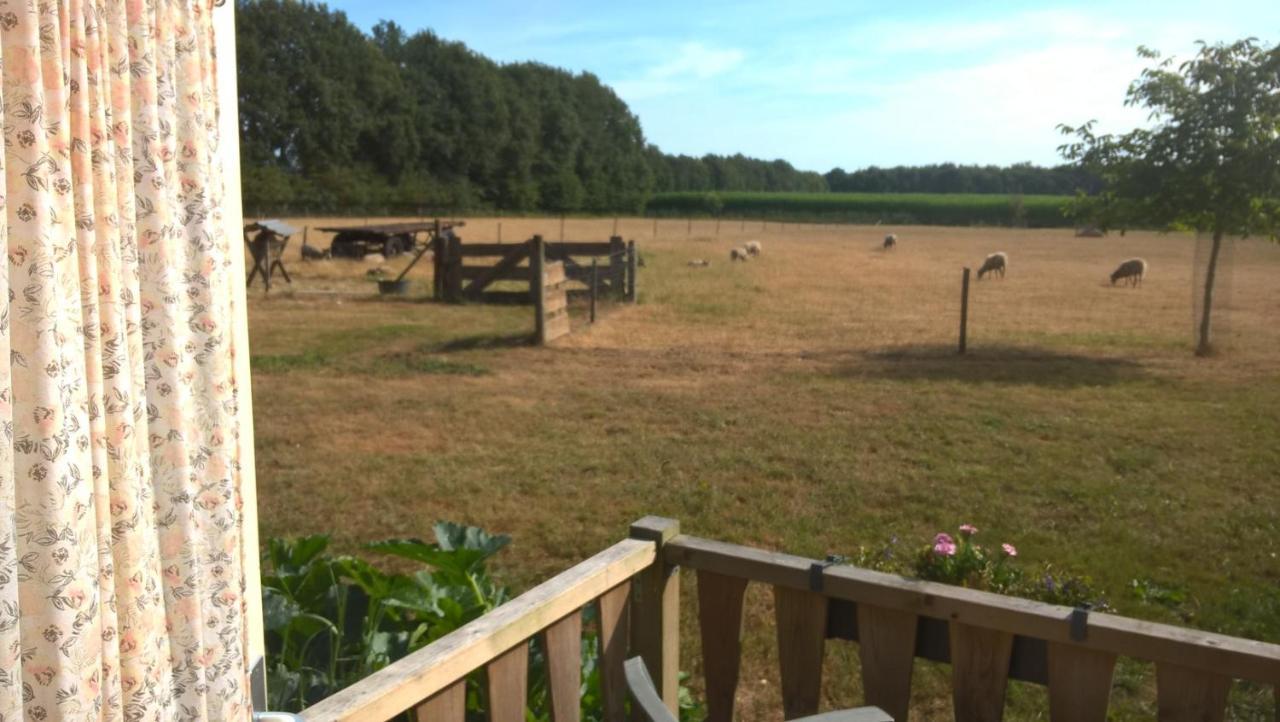 Pipowagen Lidewei Groningen Westerwolde Unieke Ligging Met Eigen Tuin En Vrij Uitzicht Over Veld Naar Natuurgebied Onstwedde Exteriér fotografie
