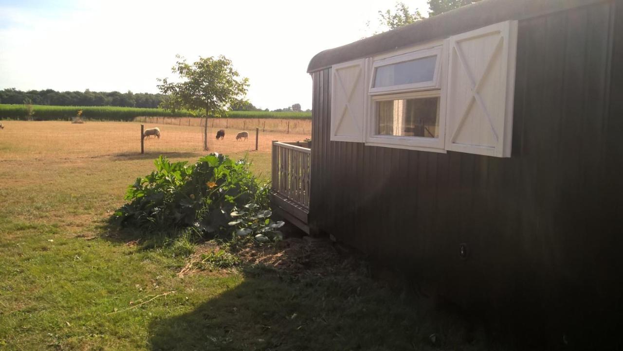Pipowagen Lidewei Groningen Westerwolde Unieke Ligging Met Eigen Tuin En Vrij Uitzicht Over Veld Naar Natuurgebied Onstwedde Exteriér fotografie