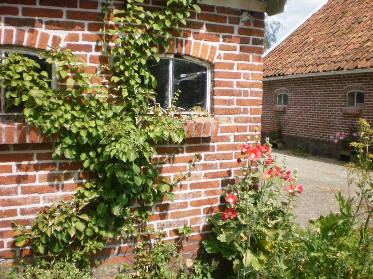 Pipowagen Lidewei Groningen Westerwolde Unieke Ligging Met Eigen Tuin En Vrij Uitzicht Over Veld Naar Natuurgebied Onstwedde Exteriér fotografie