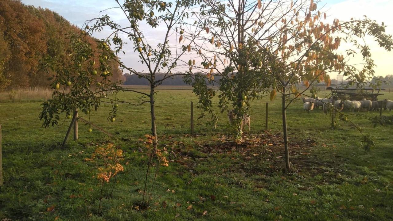 Pipowagen Lidewei Groningen Westerwolde Unieke Ligging Met Eigen Tuin En Vrij Uitzicht Over Veld Naar Natuurgebied Onstwedde Exteriér fotografie