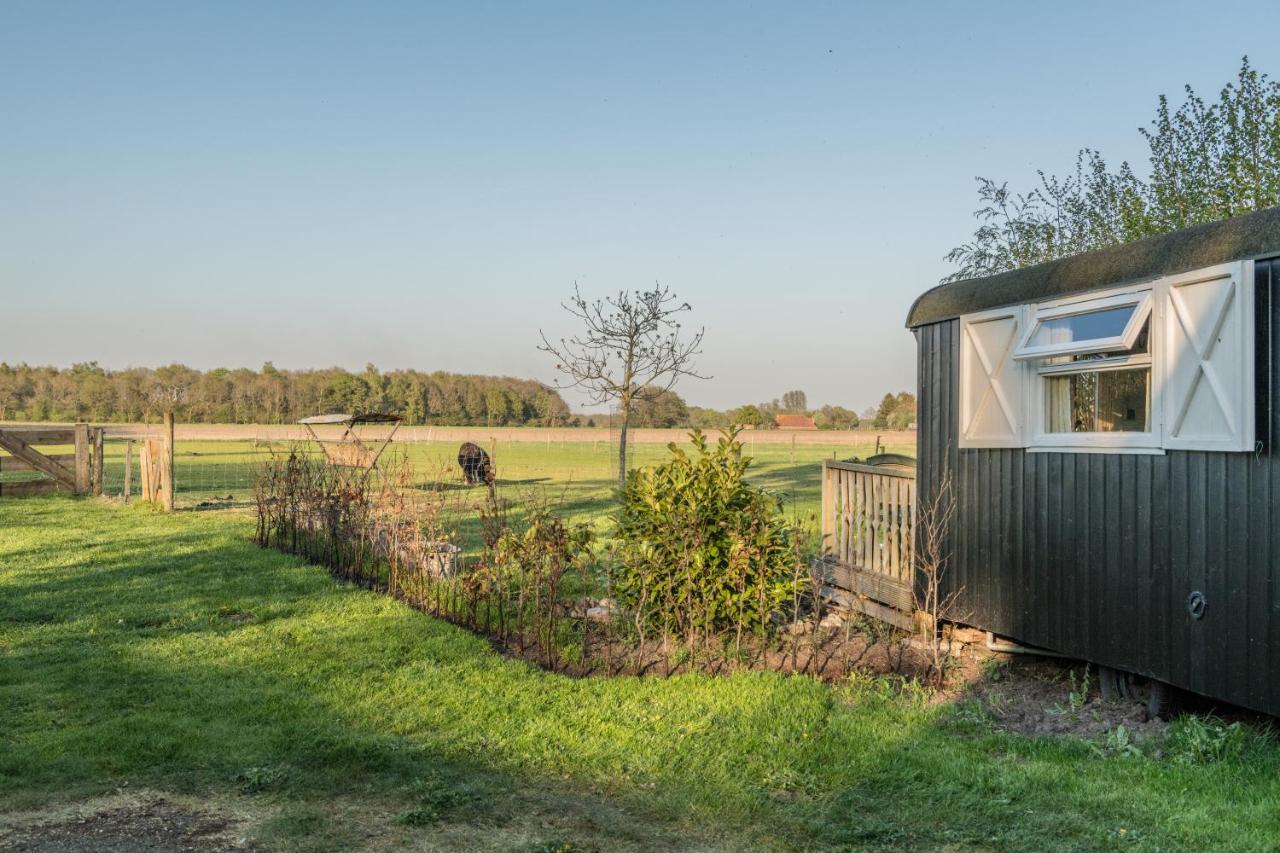 Pipowagen Lidewei Groningen Westerwolde Unieke Ligging Met Eigen Tuin En Vrij Uitzicht Over Veld Naar Natuurgebied Onstwedde Exteriér fotografie