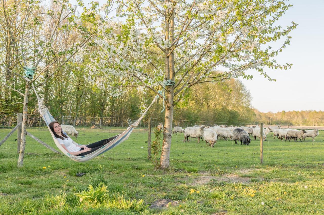 Pipowagen Lidewei Groningen Westerwolde Unieke Ligging Met Eigen Tuin En Vrij Uitzicht Over Veld Naar Natuurgebied Onstwedde Exteriér fotografie