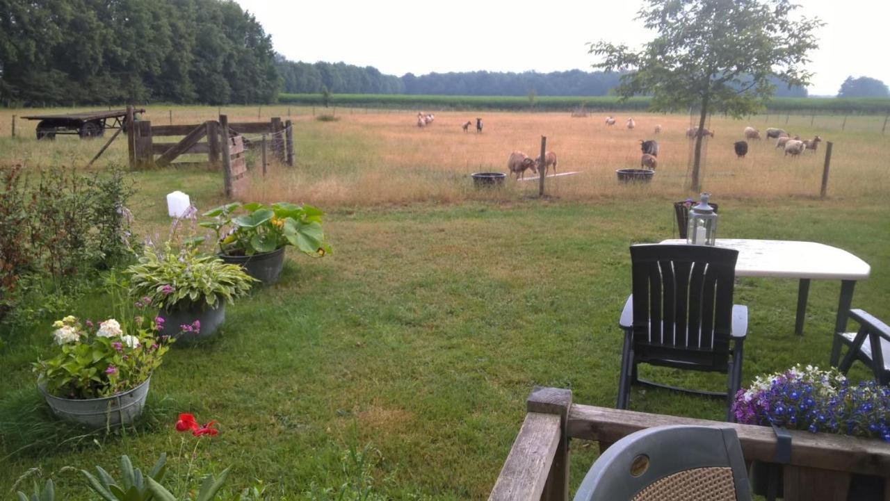 Pipowagen Lidewei Groningen Westerwolde Unieke Ligging Met Eigen Tuin En Vrij Uitzicht Over Veld Naar Natuurgebied Onstwedde Exteriér fotografie