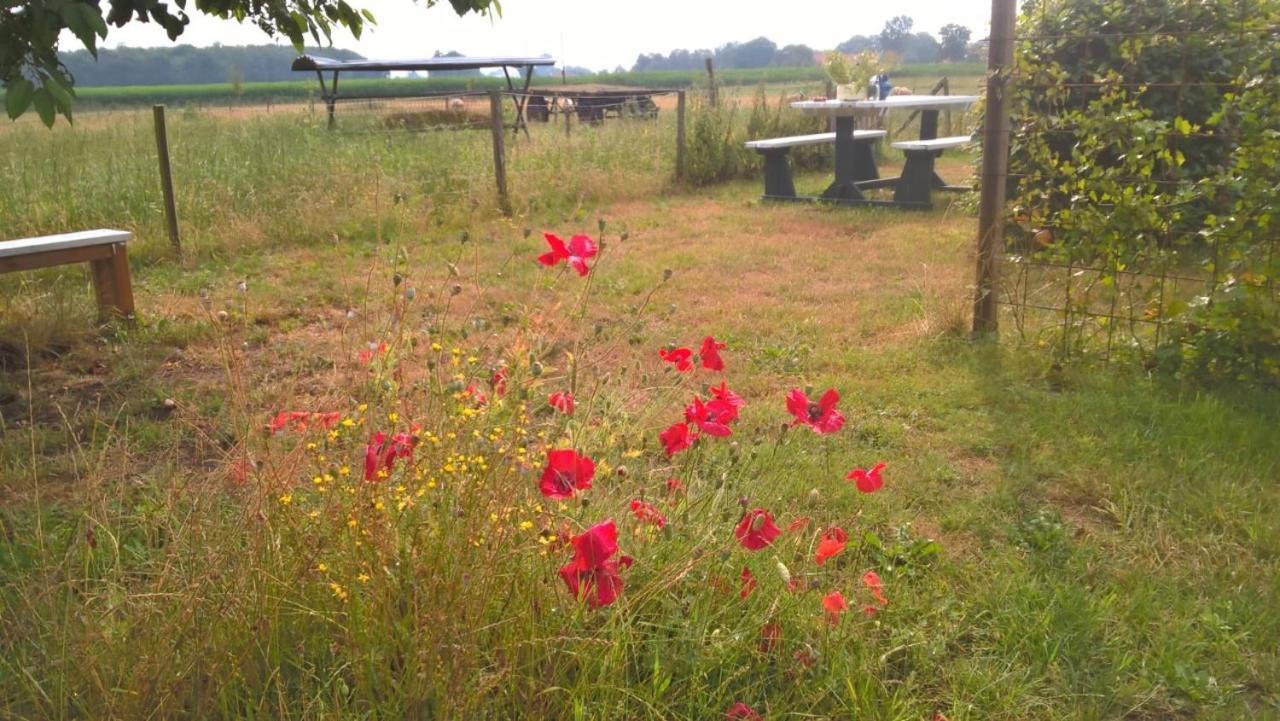 Pipowagen Lidewei Groningen Westerwolde Unieke Ligging Met Eigen Tuin En Vrij Uitzicht Over Veld Naar Natuurgebied Onstwedde Exteriér fotografie