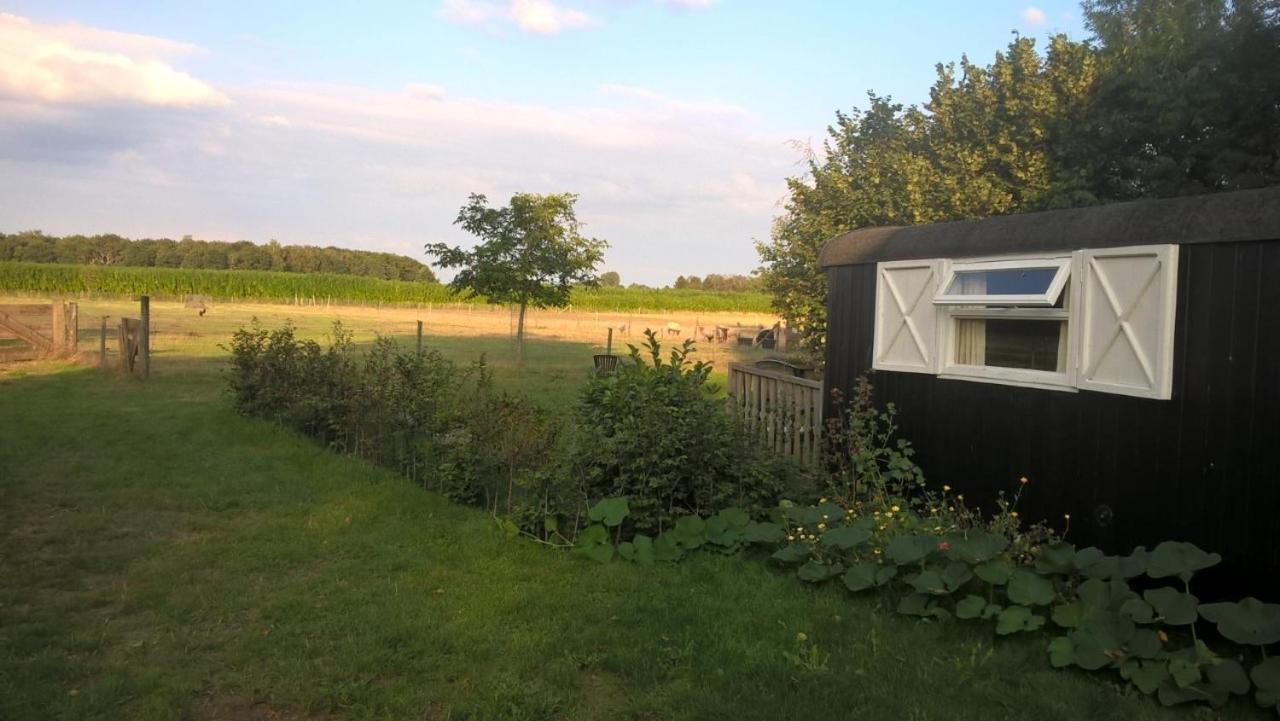 Pipowagen Lidewei Groningen Westerwolde Unieke Ligging Met Eigen Tuin En Vrij Uitzicht Over Veld Naar Natuurgebied Onstwedde Exteriér fotografie
